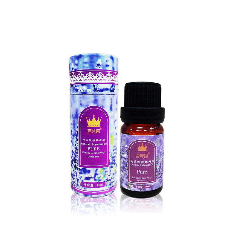 Lavender Essential Oil – Calm Floral Aroma (10ml)